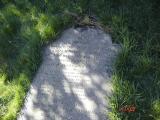 image of grave number 660252